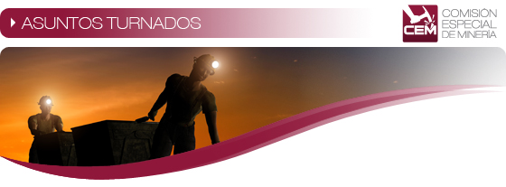 Asuntos Turnados